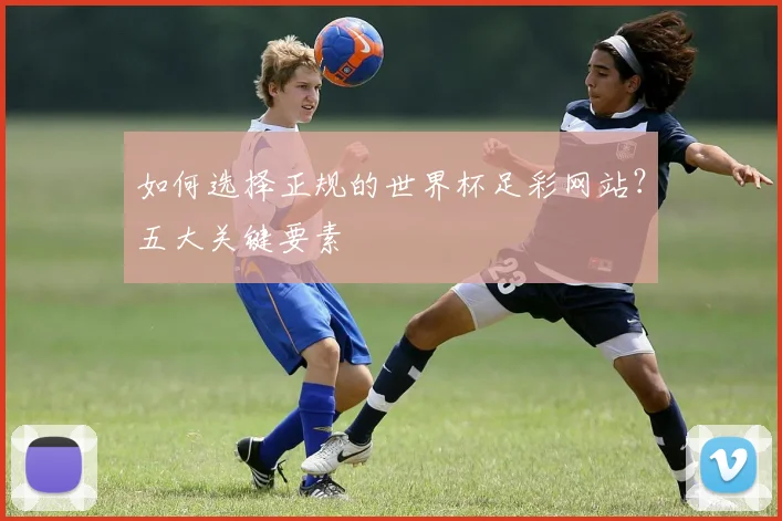 如何选择正规的世界杯足彩网站？五大关键要素